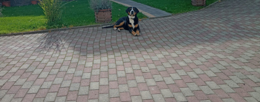 fotka 2 - Nad Strumykiem